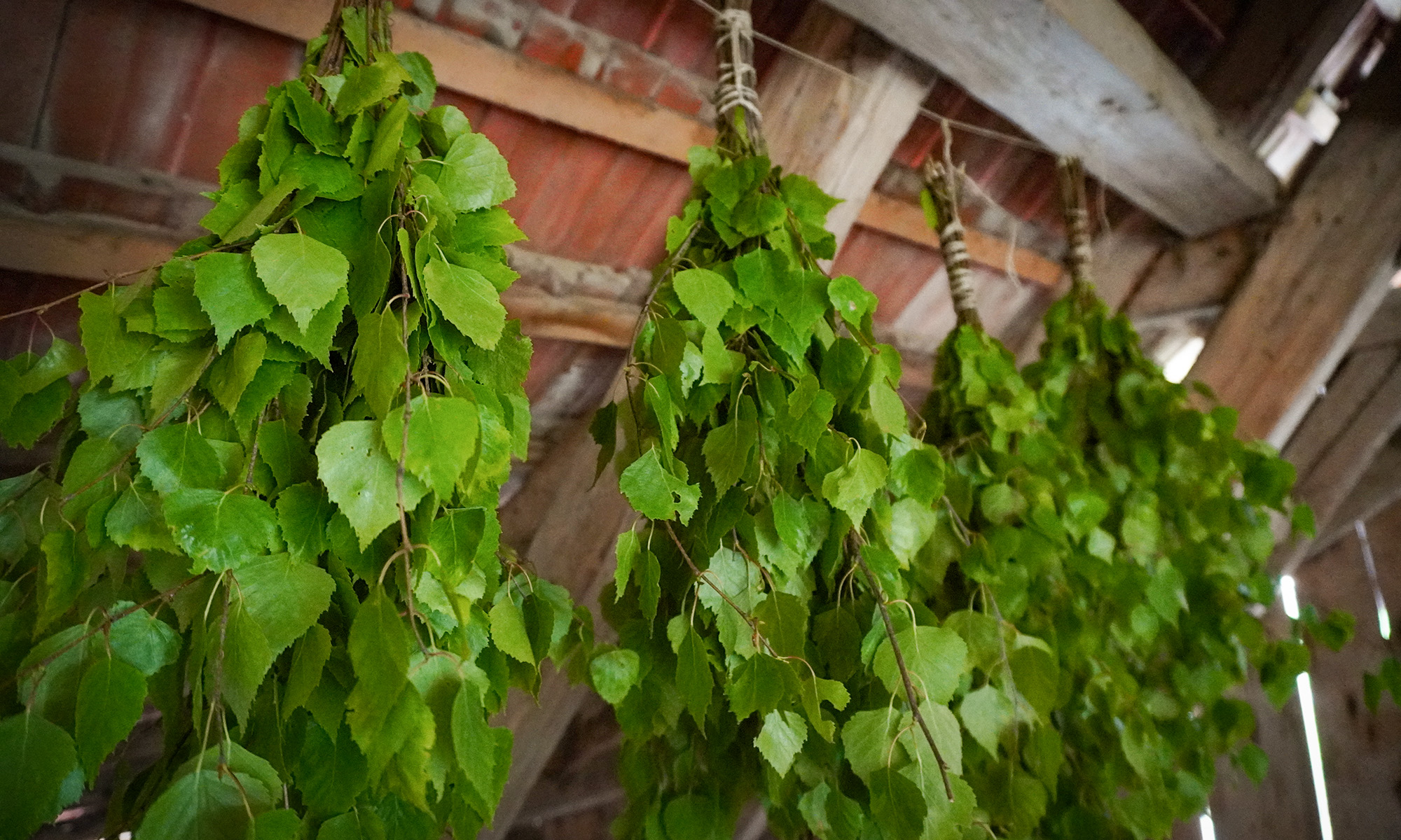 Sauna in Meikirch bei Bern mit Aufguss und Birkenwedeln