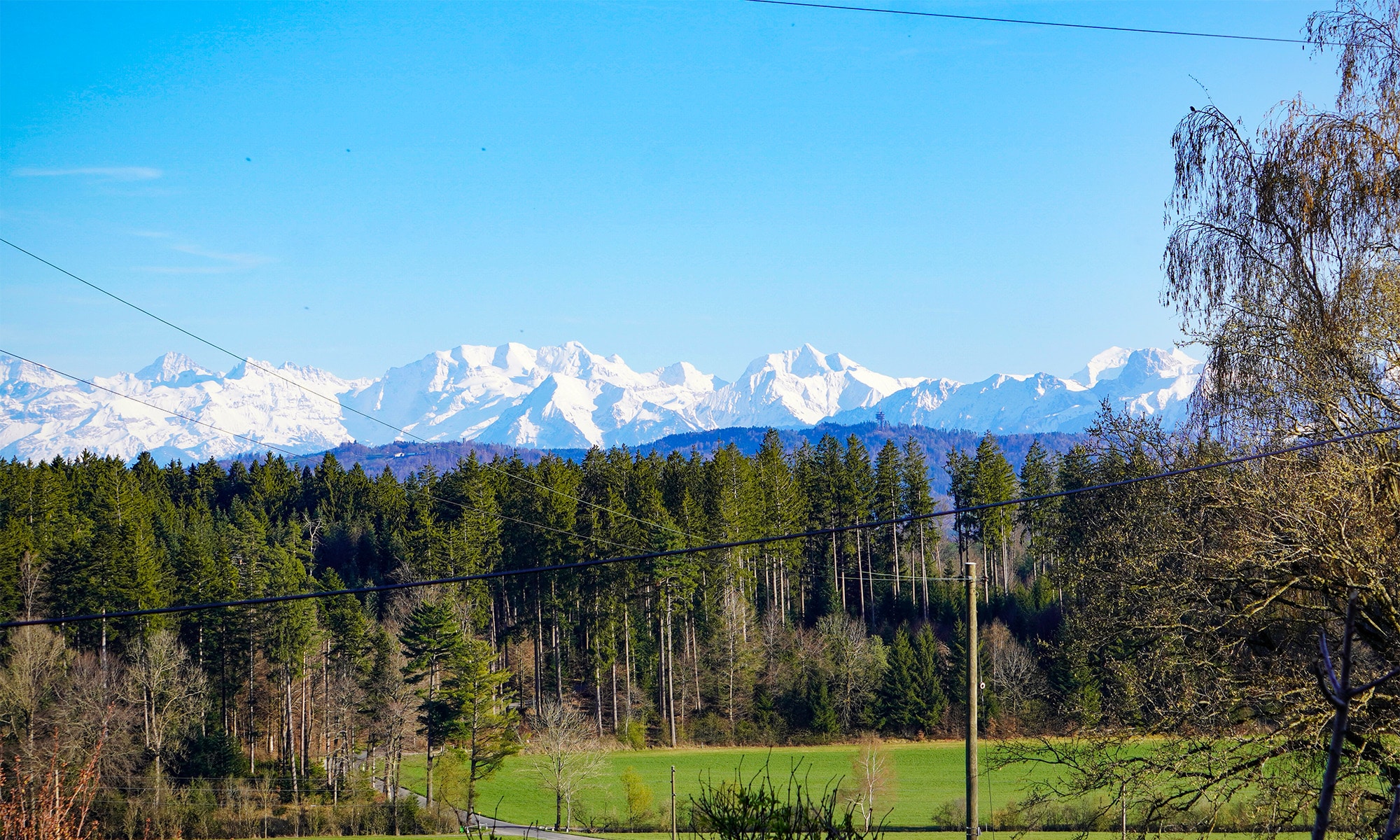 Sauna in Bern, Aufguss, Birkenzweige, Holzofen